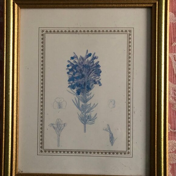 Two wall decor with flowers art prints and nice frames home decoration - Picture 8 of 9